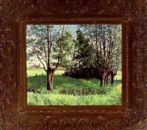 Les Saules