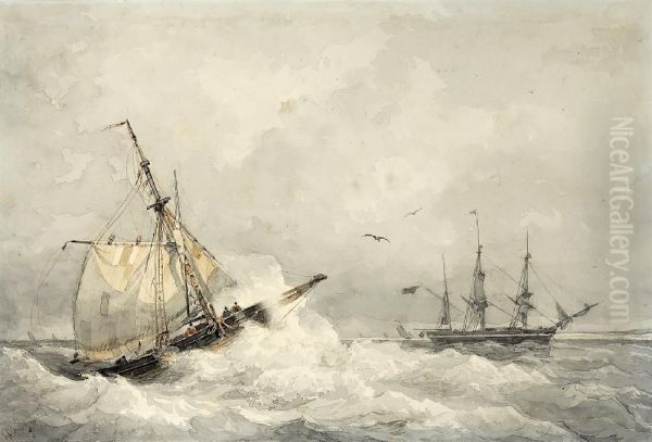 Marine - view 1