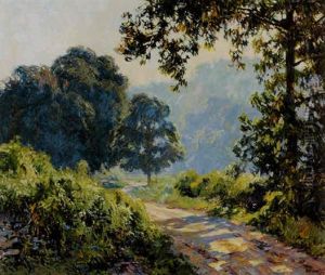 Sunlit Path Sunlit Path