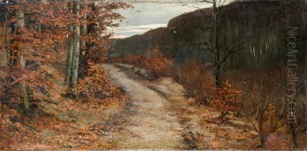 Sendero - view 1