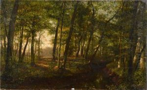 Chemin En Foret Chemin En Foret