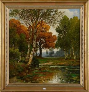 Paysage A L'etang