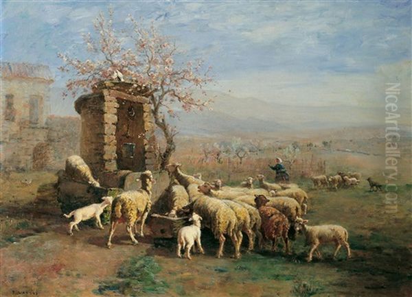 Provencalische Landschaft Mit Schafen Am Brunnen - view 1