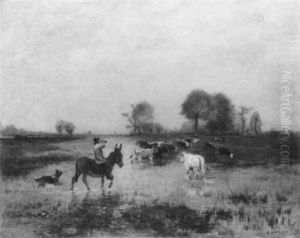 In Der Camargue