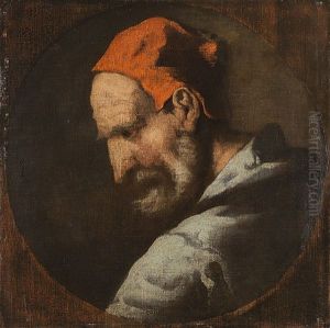 Testa Di Vecchio Barbuto Testa Di Vecchio Barbuto
