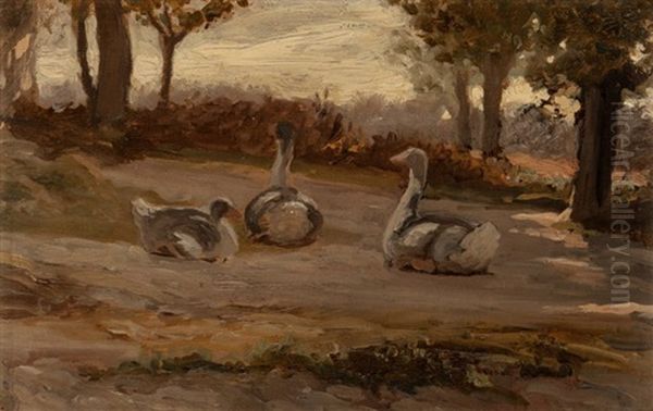 Geese - view 1