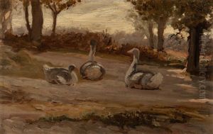 Geese Geese