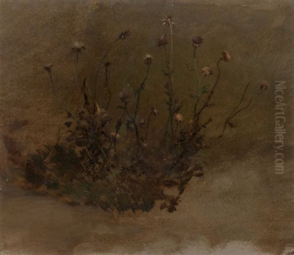 Wild Flowers (thistles) - view 1