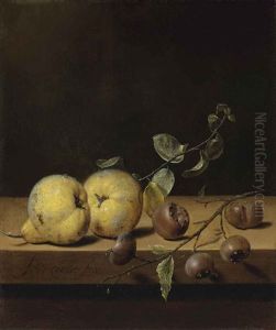 Quinces And Medlars On A Ledge