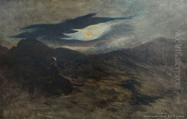 Figure In Noonlight - view 1