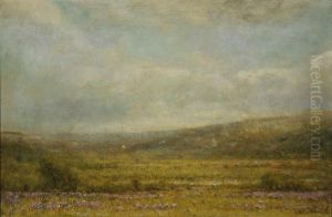 Rain, Mist And Sunshine On A Moor