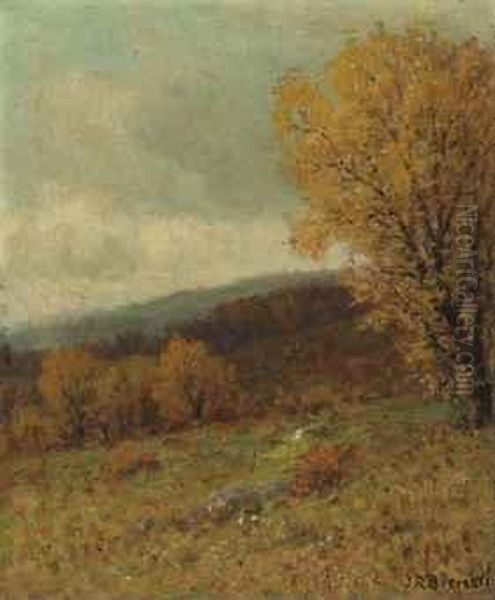 Summer Landscape - view 1