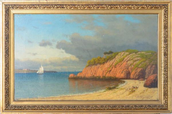 Coastal Scene - view 1