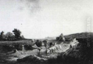 Herds With Cattle In A Summer Landscape
