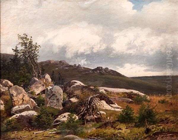 Landscape With Boulders - view 1