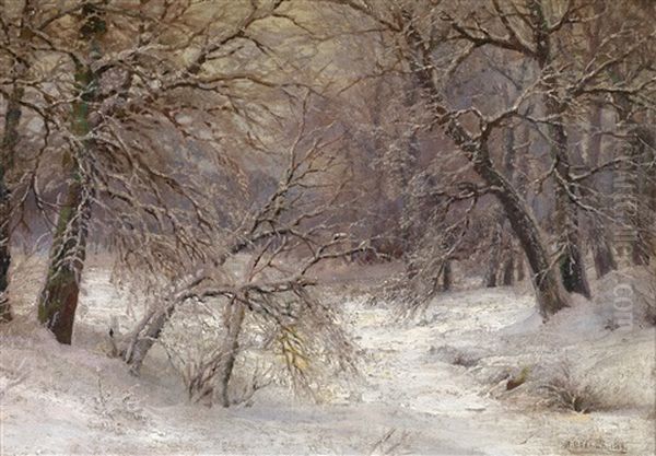 Winterlandschaft - view 1