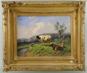 Vaches Au Paturage Le Long Du Canal