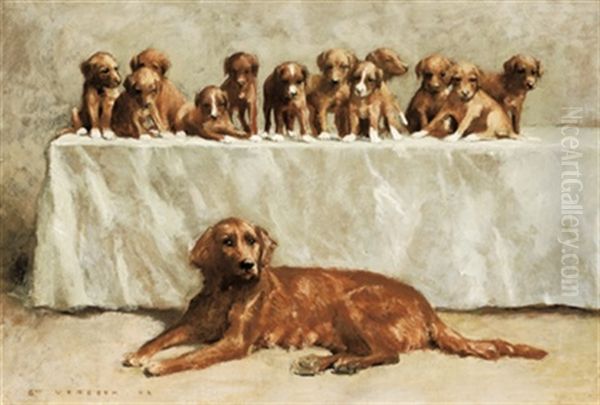 Irish Setter Und Ihre Vielen Welpen - view 1