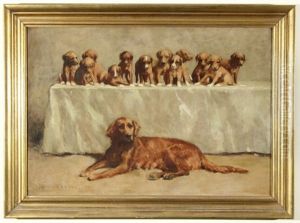 Irish Setter And Her Twelve Pups