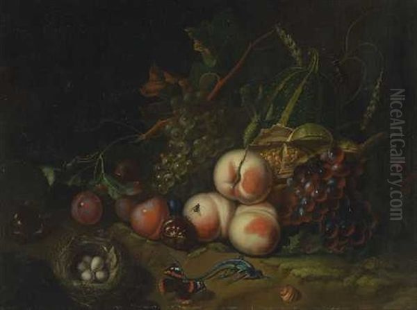 Fruchtestillleben Mit Vogelnest - view 1