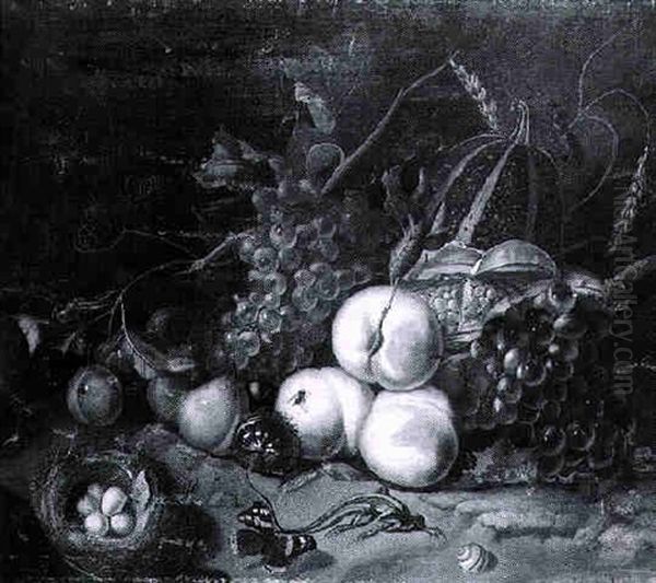 Still Life With A Bunch Of Grapes, Vines, Peaches And Other Fruit, And Insects - view 1