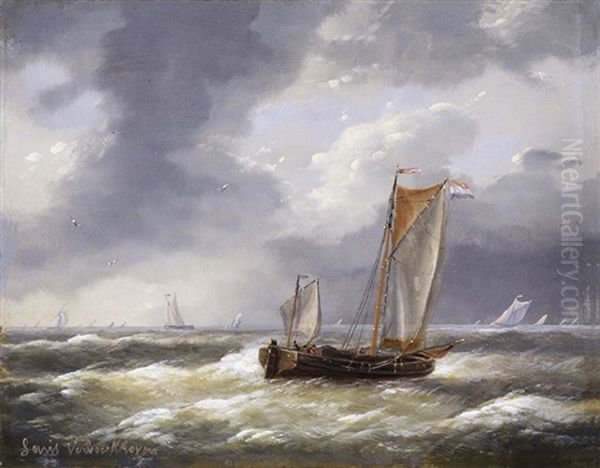 Marine - view 1
