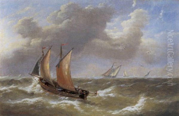 Marine - view 1