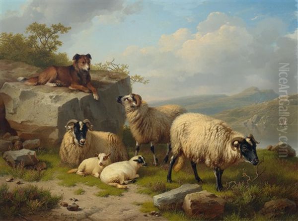Schafe Mit Hirtenhund In Einer Landschaft - view 1