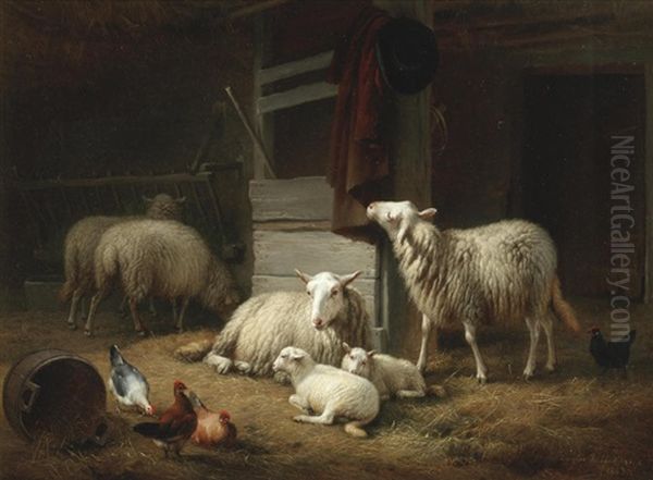 A Barn Interior With Ewes, Lambs And Hens - view 1