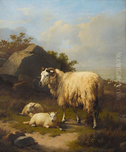 Mountain Goats At Rest - view 1