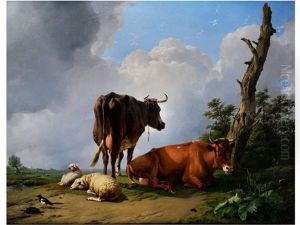 Kuhe Und Schafe In Der Nachmittagssonne Kuhe Und Schafe In Der Nachmittagssonne