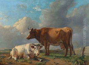 Kuhe Am Weidezaun
