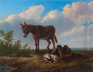Esel Und Hund Vor Weitem Landschaftshintergrund