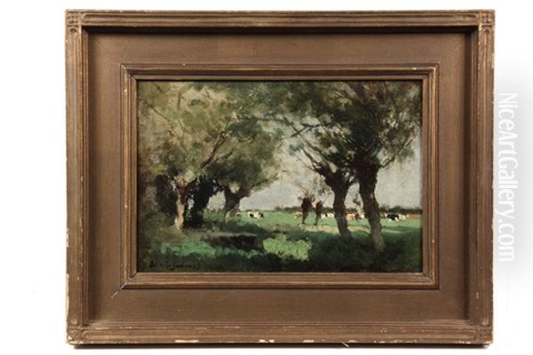 Cows In Field - view 1