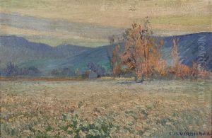 Paysage De Campagne, Effets Du Matin