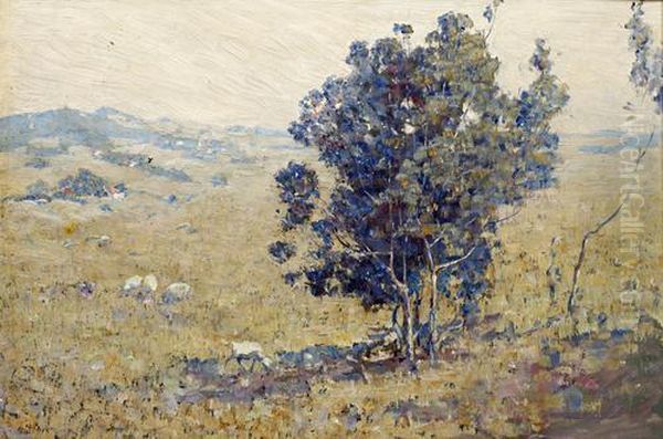 Landscape With Sheep - view 1