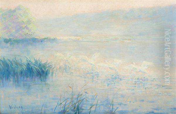 Le Reveil Des Cygnes - view 1