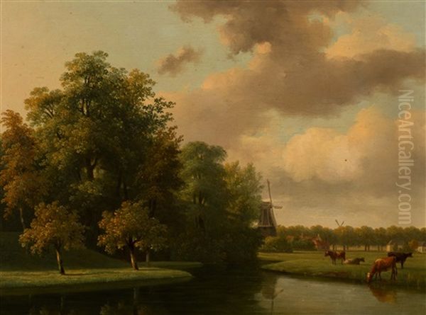 Cows In The Weizigtpark, Dordrecht - view 1