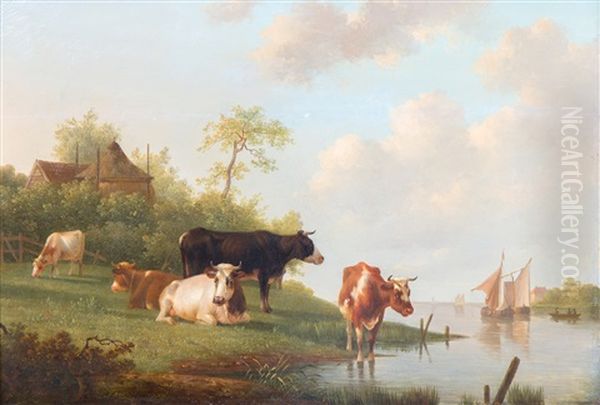 Cattle Grazing Alongside The Riverbank - view 1