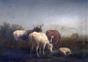 Vaches Et Mouton Vaches Et Mouton