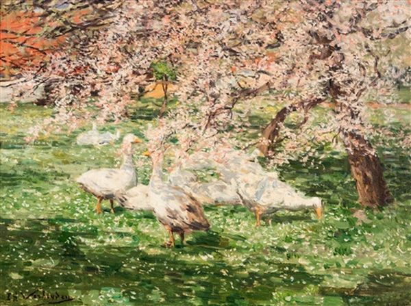 Geese In A Spring Orchard - view 1