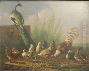 Kippen, Eenden En Een Pauw Bij Een Tuinmuur