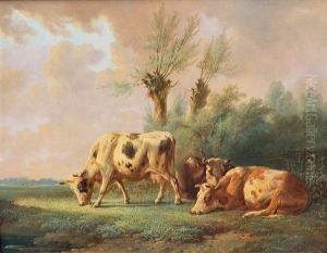 Resting Cows In A Meadow by Albertus Verhoesen