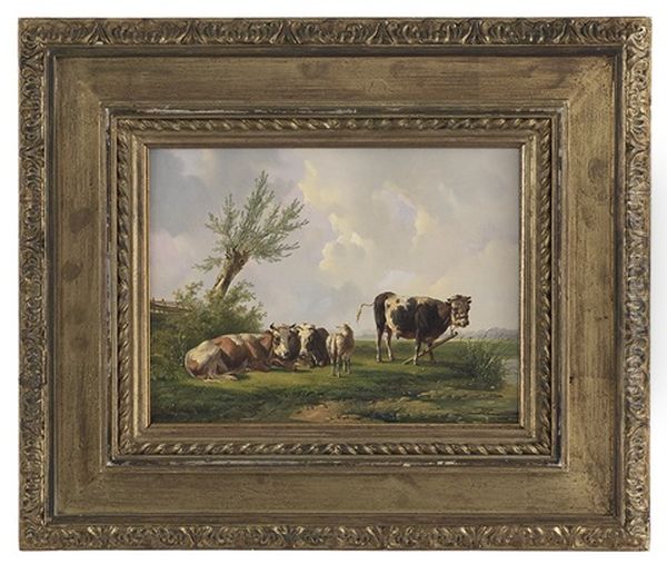 Sheep Among The Cows - view 1