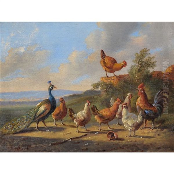 Chickens With A Peacock; Chickens Going To Roost - view 1