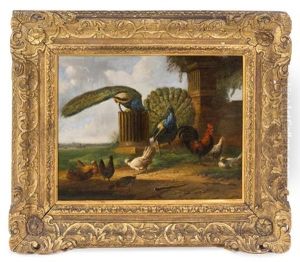Landscape With Peacocks And Fowl