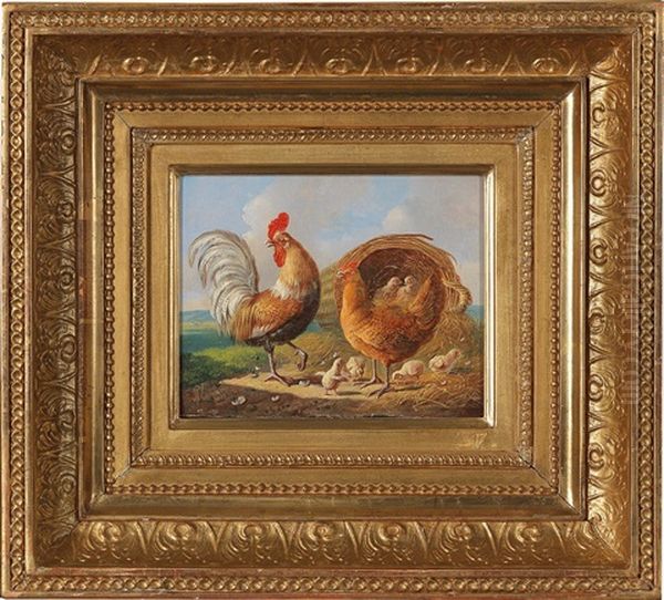 Cock, Hens And Chicks In An Open Landscape - view 1