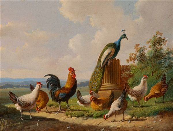 Chickens And A Peacock By A Column - view 1