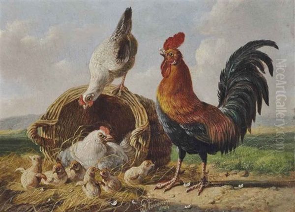 Rooster With Hens And Chicks - view 1