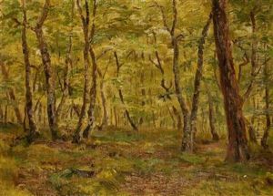 Inside A Forest by Vaclav Brezina